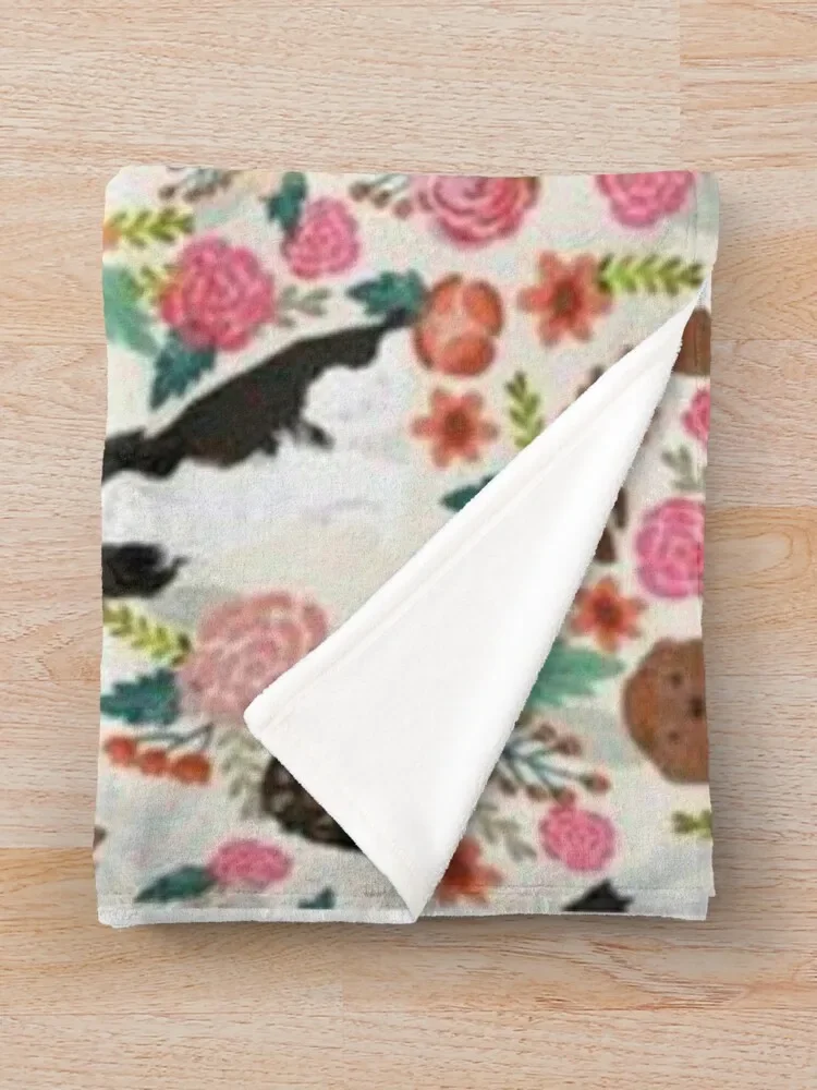 CAVALIER KING ������ ���, ���� ����� �� �ʼ�ǰ, ��Ƽ�� ���