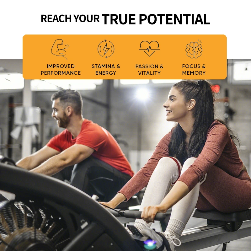 Ginseng + Ginkgo Biloba Extract Capsules Help Improve Energy Vitality Anti-aging Memory Brain Vision Health ginseng supplement,ginkgo biloba supplement