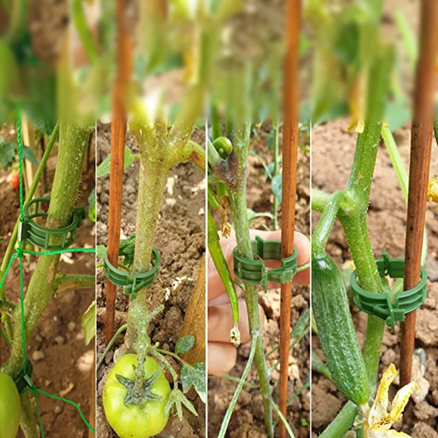 100 PCS Plant Support Clips Plastic Ties Trellis Stake Clips Garden Veggie Tomato Greenhouse Holder For Garden Tools Accessories 4