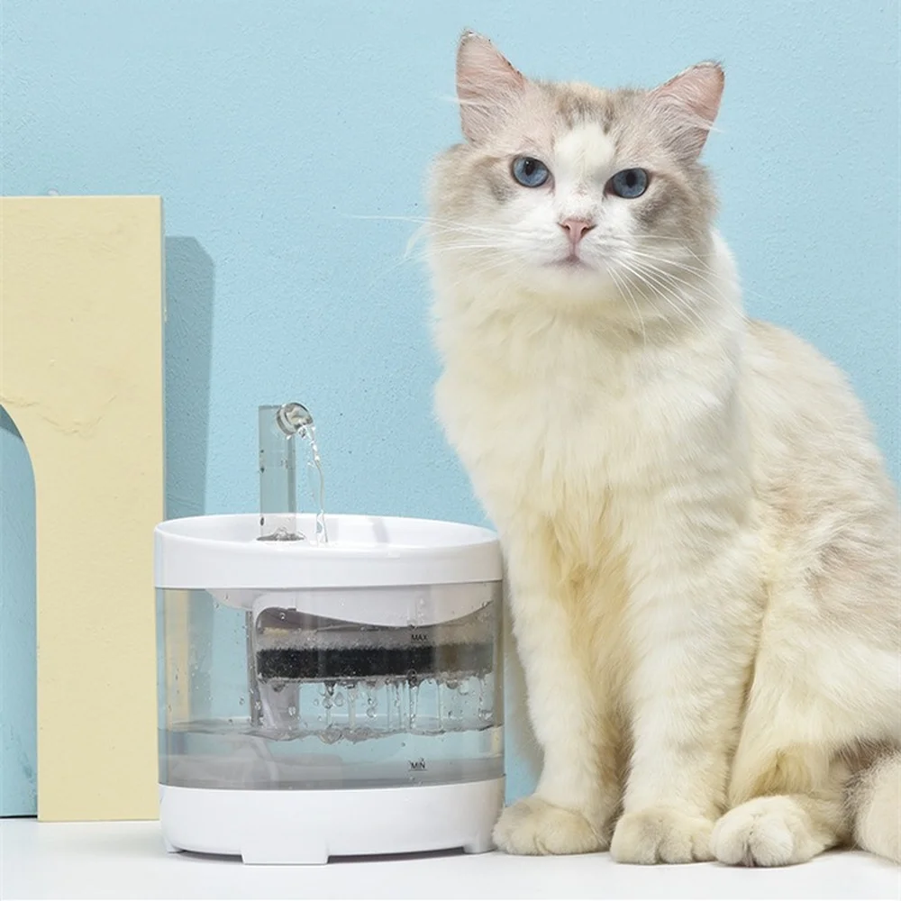 

Cat Dog Water Fountain With Infrared Motion Sensor Automatic Filtered Water Dispenser for Pet Drinking Fountain 1.6L Water Bowl