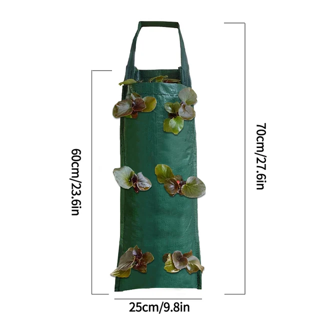 Green(6 holes) 1PC
