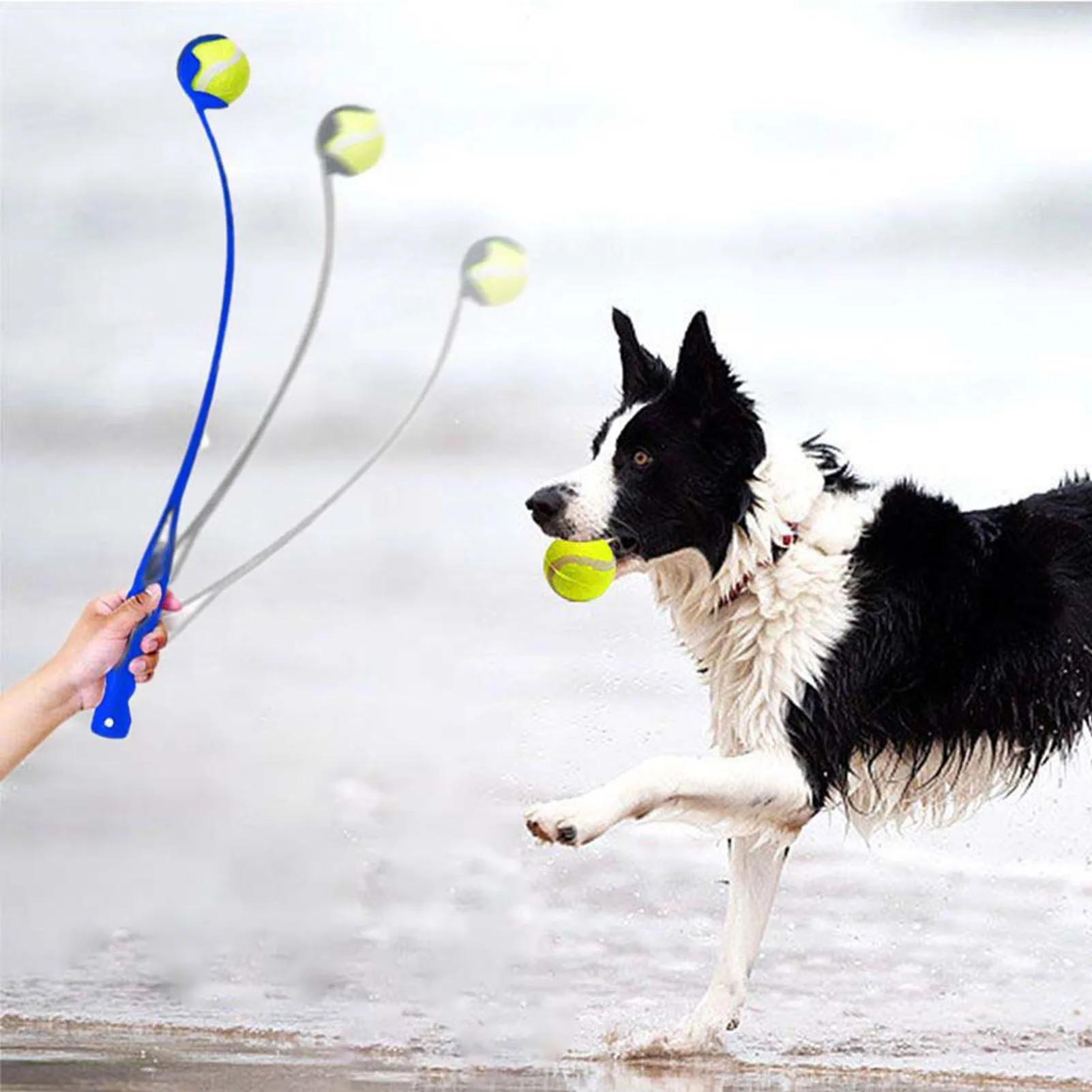 Lanza Pelotas Perro Automatico - Casa Y Jardín - AliExpress