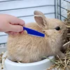 Rabbit Grooming Kit Tear Stain Remover Cleaning Combs Pet Nail Clipper Double-Sided Shampoo Bath Brush for Guinea Pig Bunny 5