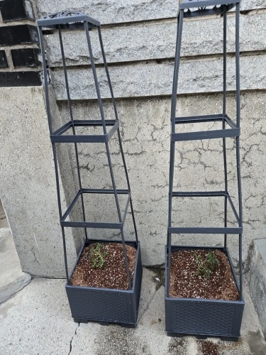 Tomato tower with self watering planting box and trellis - for climbing plants, indoor and outdoor garden support 1 set photo review
