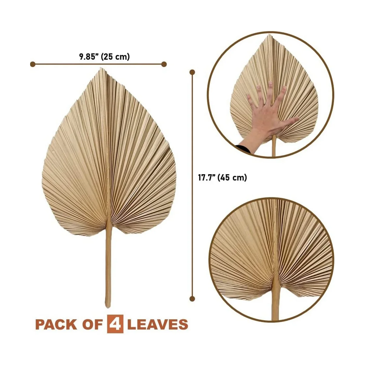4 Pieces Natural Dried Palm Leaves for Palm Leaf Decor Boho Decor Home Wedding dried palm leaves