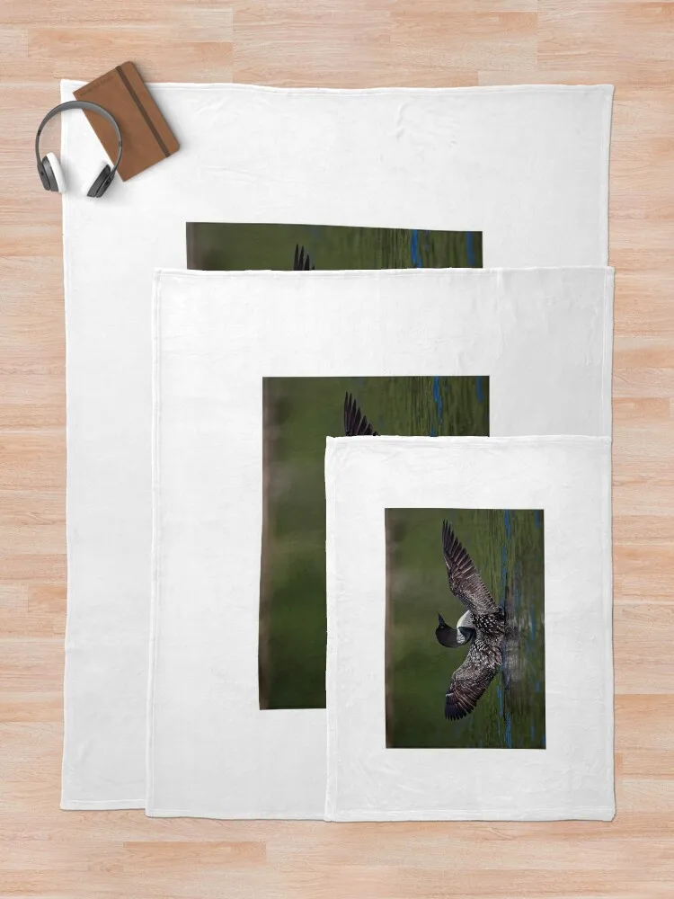 �ε巯�� ���� ���� ���� ���, ���� ������ ���, ����, ���� �м�