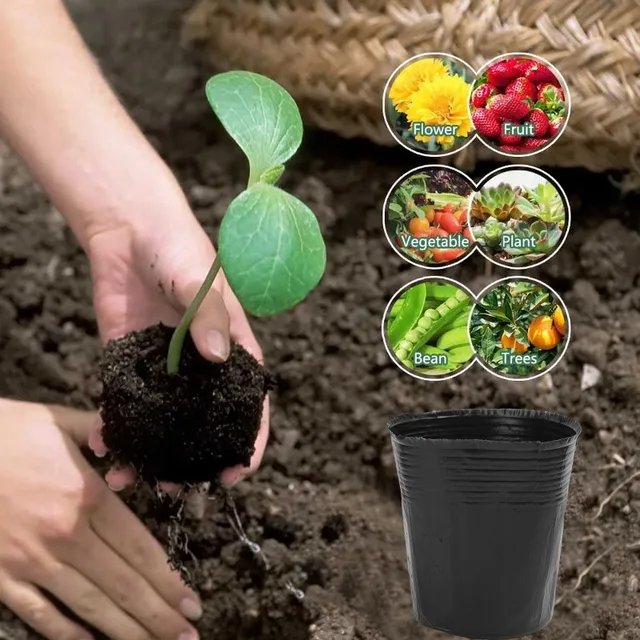 50 Deep Tree Starter Pots - Tall Seedling Pots For Plants, Veggies, Trees - Reusable PP Plastic With Drain Holes