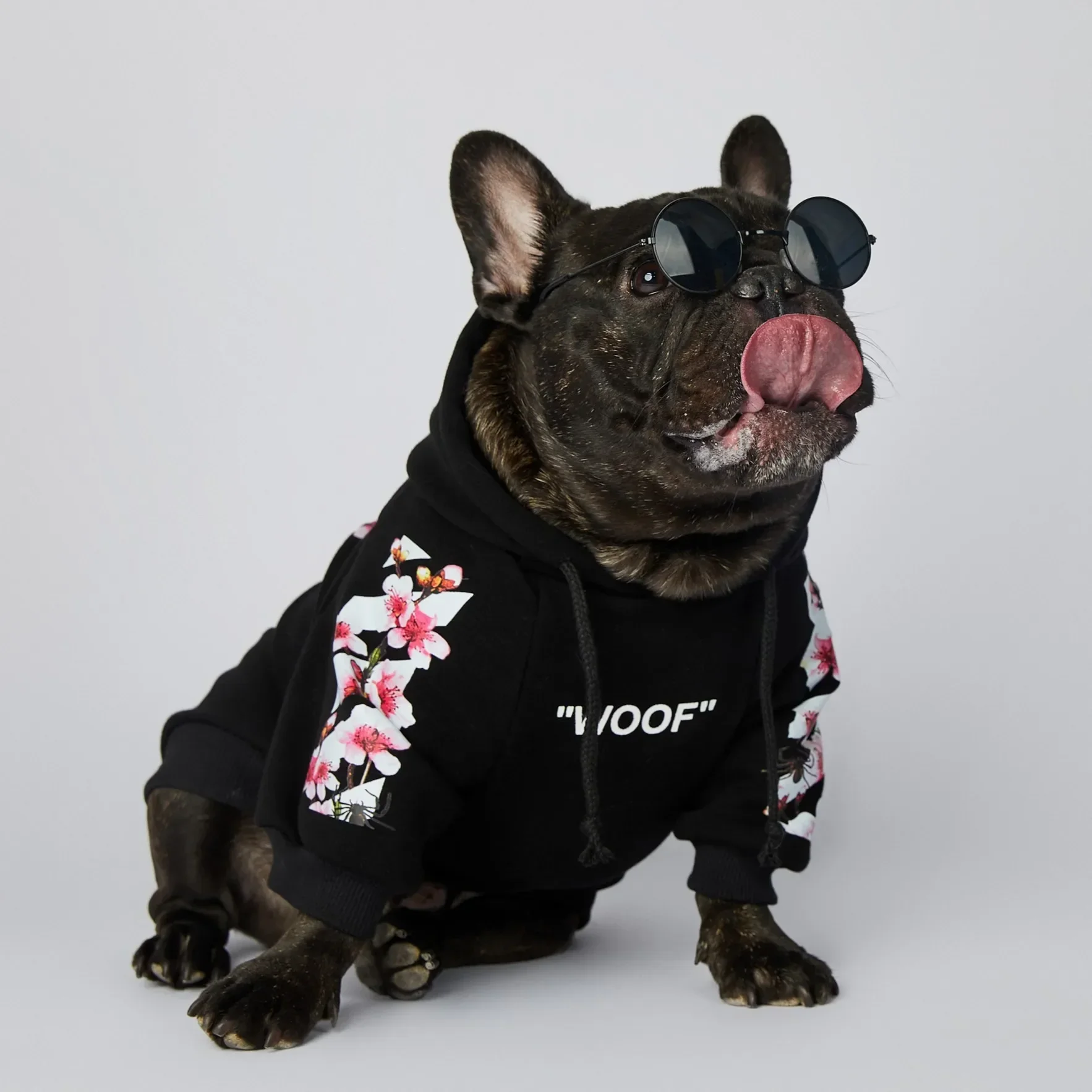 Pet Clothes NONOR Dog Clothes WOOF Fashion Sakura Dog Jacket Pet Hoodies Winter French Bulldog Pugs Sports Jacket M-4XL