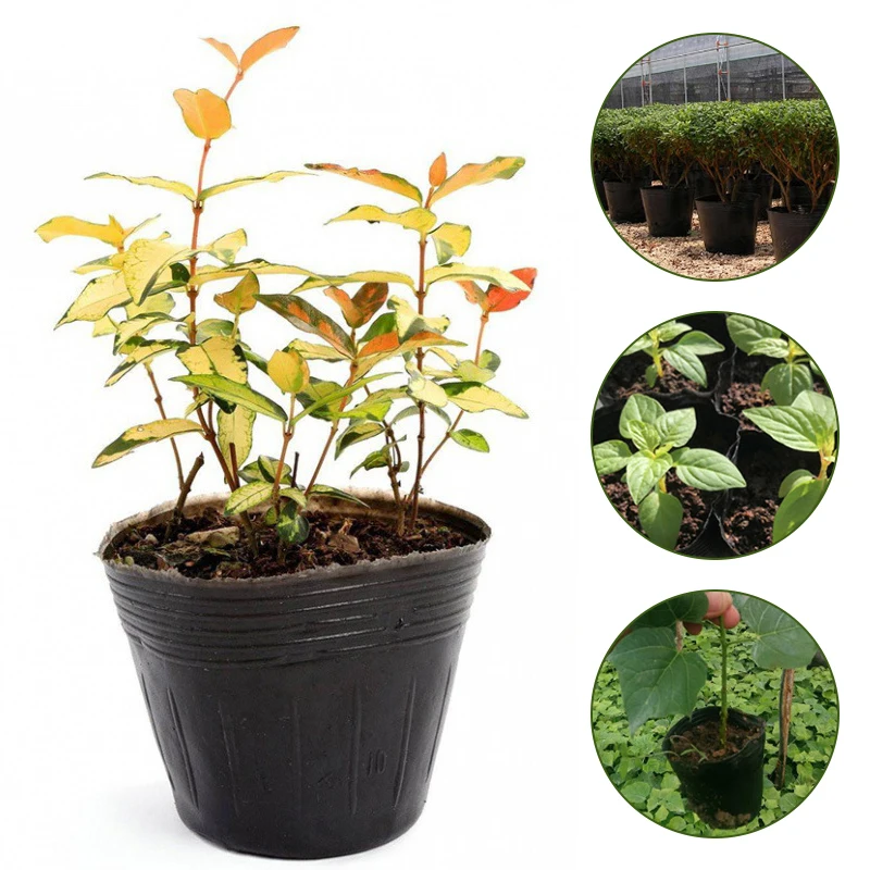 Nursery pots 50pcs Black Soft Plastic Seedling Planting Bowl Breathable Nutrition Plants Cup Flower Vegetable Garden Grow Bags