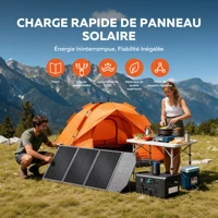 CTOLITY Générateur Solaire Portable 1800W avec Panneau Solaire 100W, Contrôleur PCB, USB, Type-C, XT60, Batterie LiFePO4 1024Wh, Station d'alimentation UPS, Alimentation de secours domestique 5