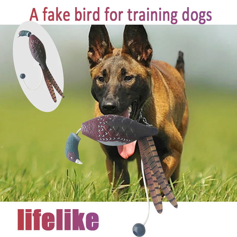 Pet Dog Training Fake Duck The Bird Dummy Teaches Mallard