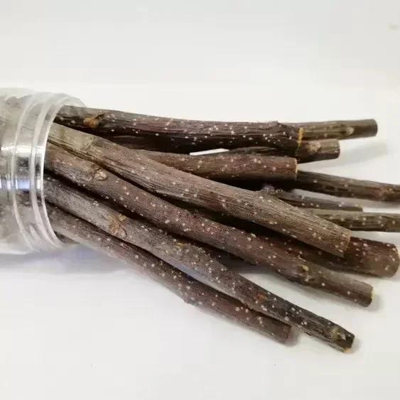 10 stücke Kauen Stick Apfelbaum Zweig Hamster Eichhörnchen Natürliche Spielzeug Papageien Kaninchen Schleifen Stick DIY Material – Detail 6