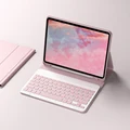 B Pink no mouse