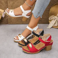 Sandales de mode pour femmes 2025 été nouveau talon grossier loisirs confortable rétro en plein air plage Cool pompes bout ouvert sandales élégantes 2