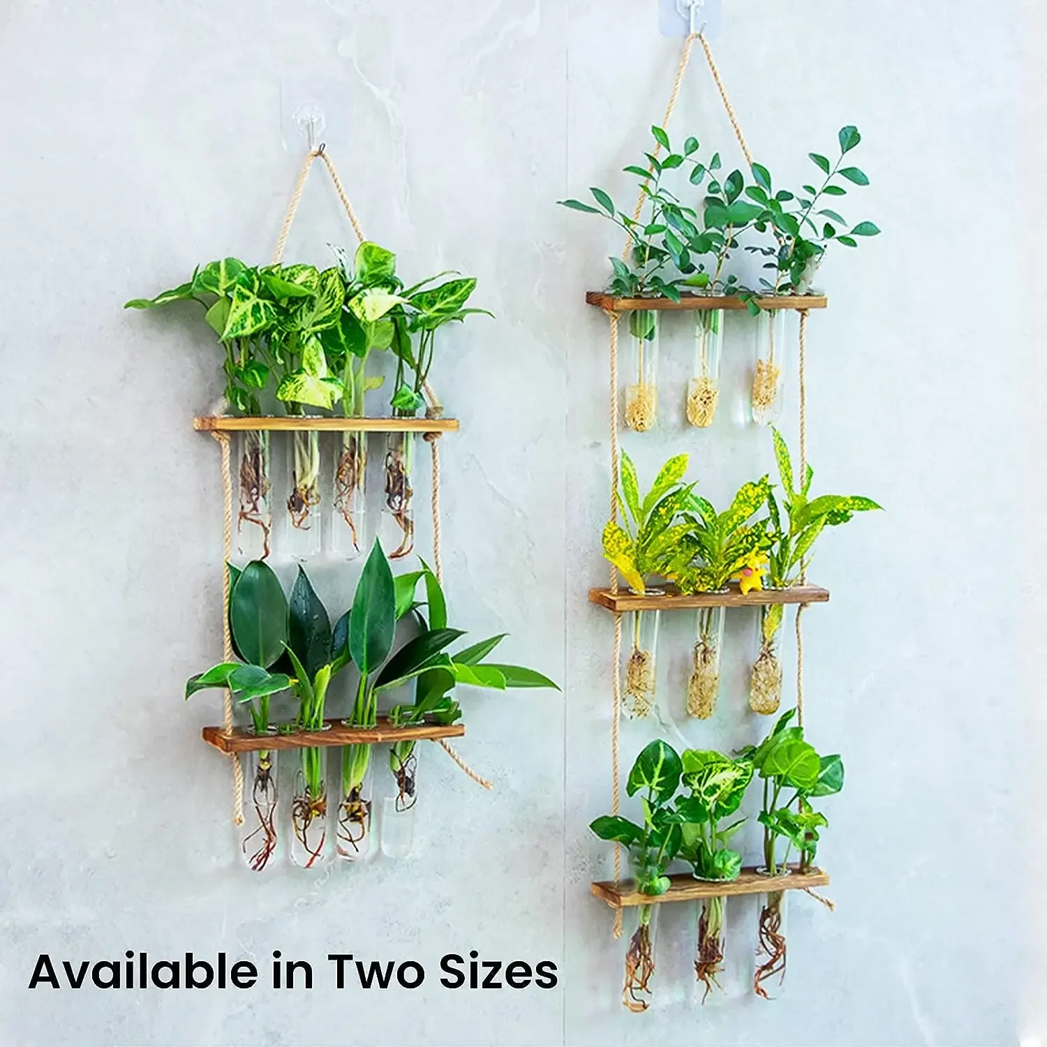 Wall Hanging Test Tube Glass Planter Plant Vase with Wooden Stand & Strings Rope Glass Planter Plant Terrarium  (2 Layer)