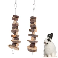 Jouet à mâcher pour petits animaux de compagnie, hamster, lapin, bâtons en bois naturel, chinchilla, cochons d'inde, escarpins, jouet de meulage des dents, fournitures pour animaux de compagnie 4
