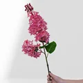 Dark Pink