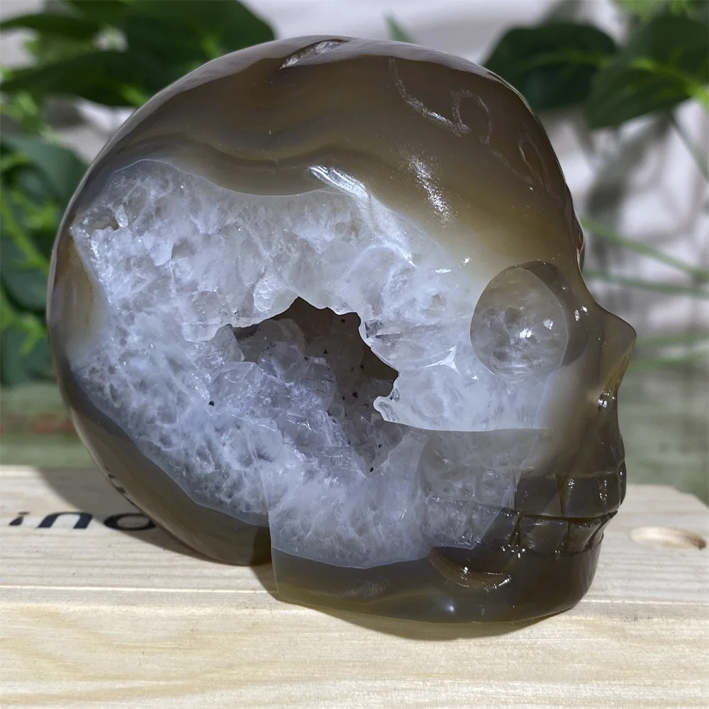 

Crystal Natural Skulls Cranium Agate Geode Carving Cluster Quartz Mineralsl Carving Handmad Spiritual Feng Shui Reiki Living