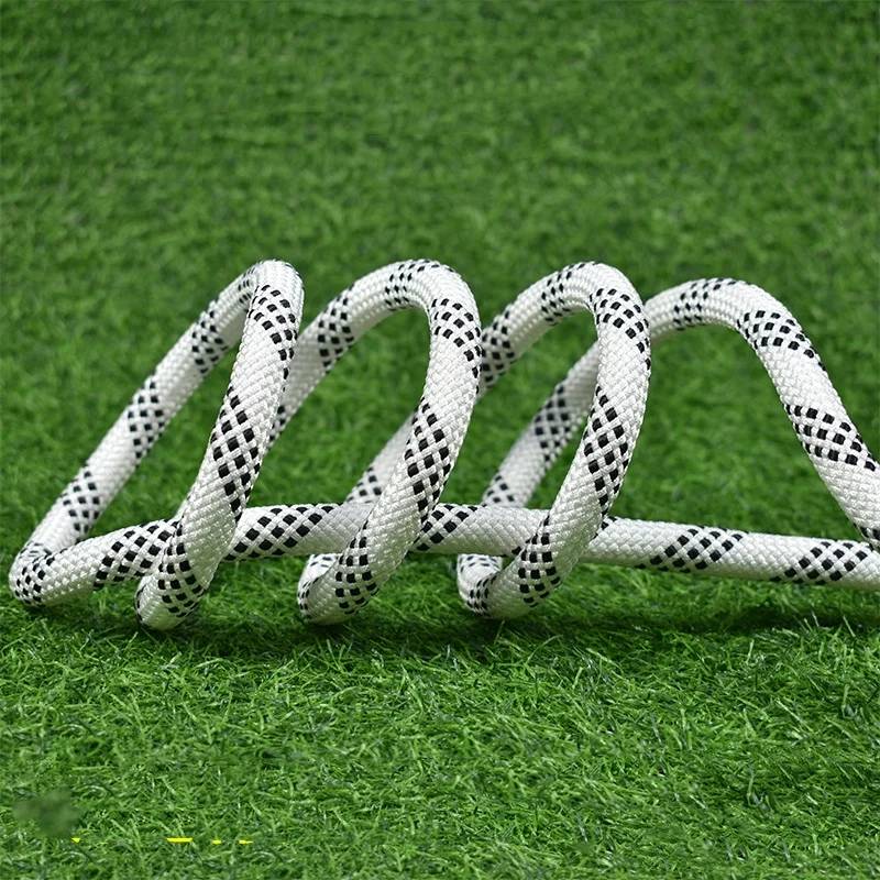 Durable Outdoor Safety Elastic Rope with Stainless Steel Carabiner