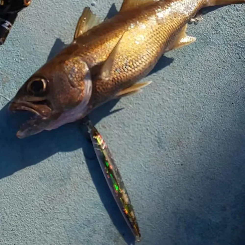 Metal Offshore Fishing Tackle Saltwater Offshore Jigging 40g-200g