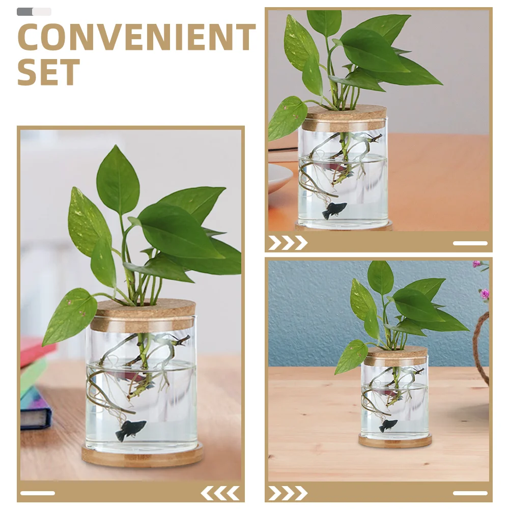6 Pcs Indoor Hydroponic Vase Block Terrarium Cork Lid Wood for Bottles Glass Planter 4