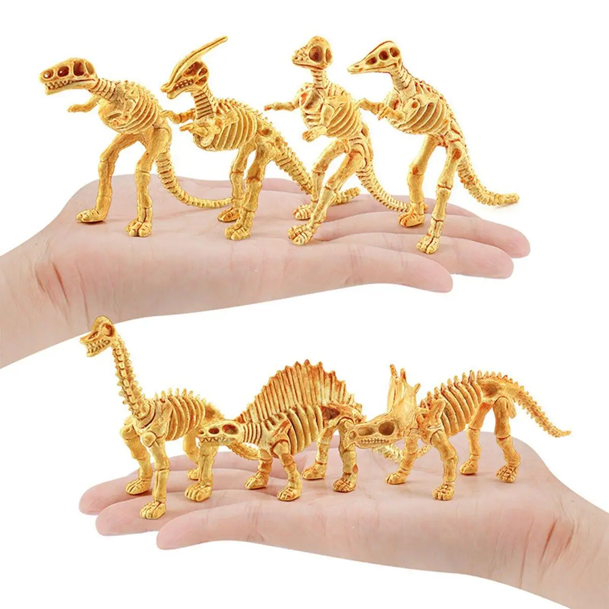 Dinossauro fóssil escavação kits arqueológico escavação brinquedo jurássico  mundo dinossauro esqueleto modelo ciência brinquedos educativos para  meninos - AliExpress