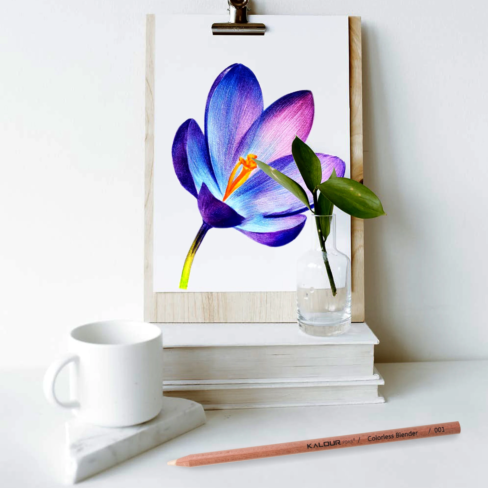 KALOUR ���� ������ �� ���� ���� ��Ʈ, ������, �ν� ��� ����, �ε巯�� �����ڸ� �������� ����