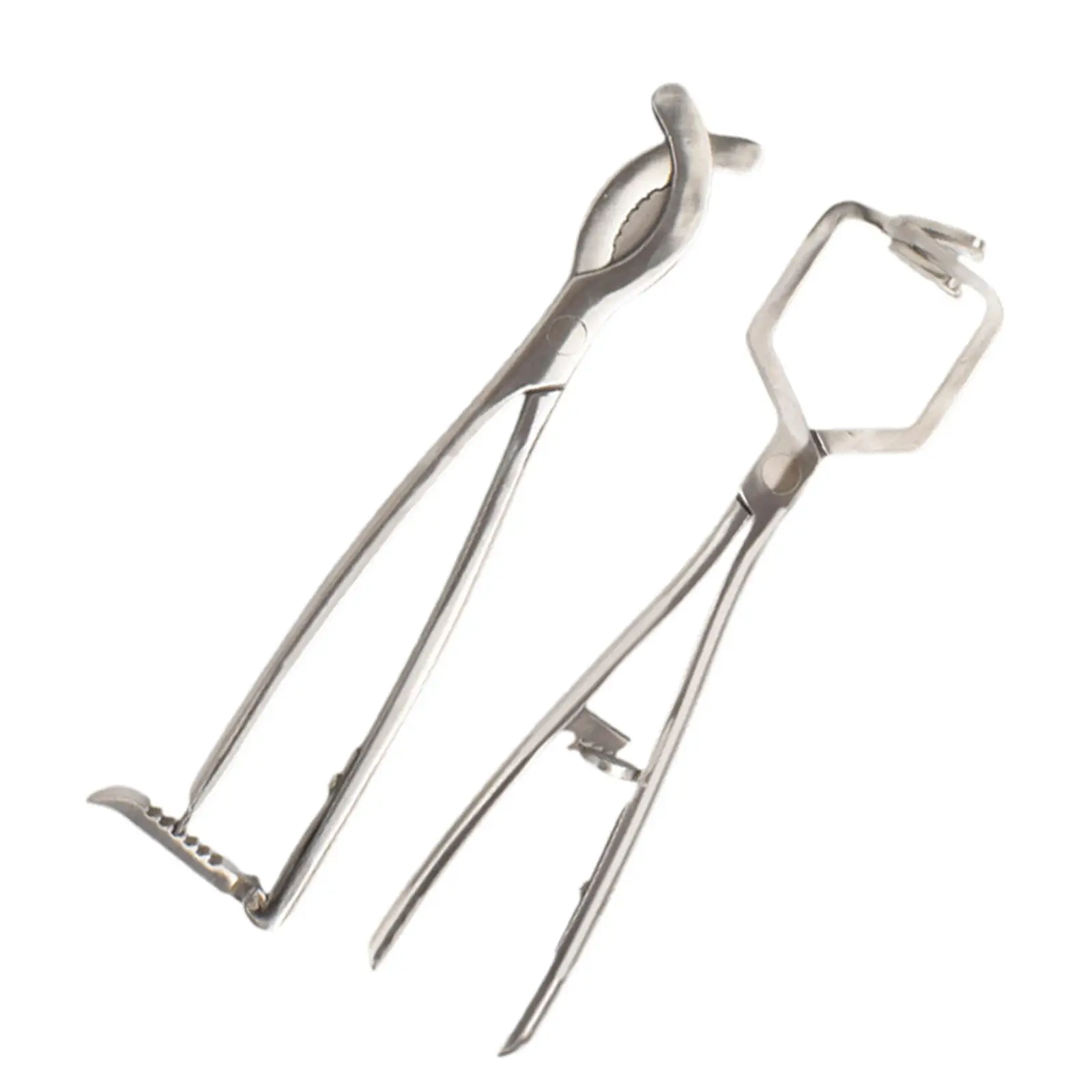 Stainless Steel Bander Livestock Castration Solution Heavy Duty Opener Castrating Plier for Lambs Calves Piglets Veterinary Stainless Steel Bander Livestock Castration Solution Heavy Duty Opener Castrating Plier for Lambs Calves Piglets Veterinary