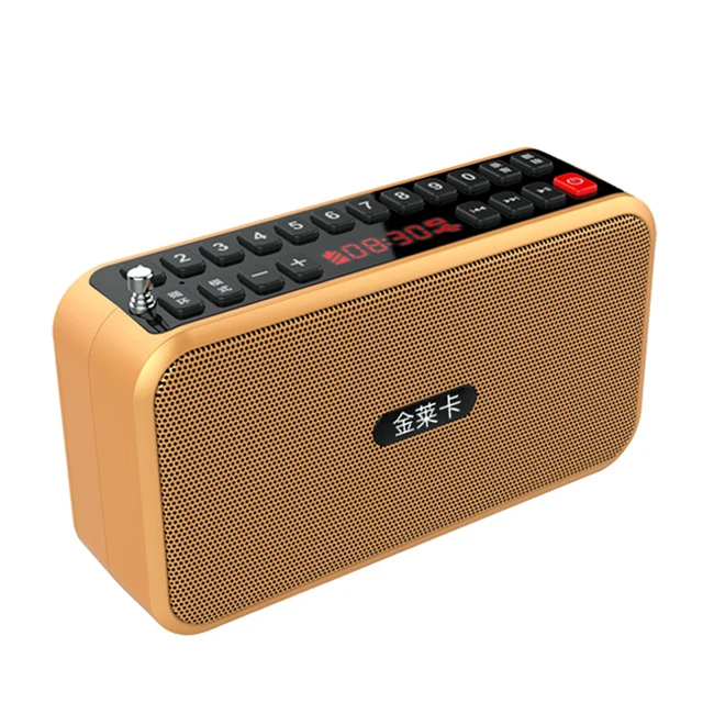 Portable Radio FM Radio Receiver Bluetooth Speaker MP3 Music Player with Microphone Support TF
