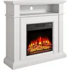36-Inch Living Room or Bedroom Electric Fireplace, Plug-in Heater, Realistic Wood and Flame Effects, Remote Control, Timer 2