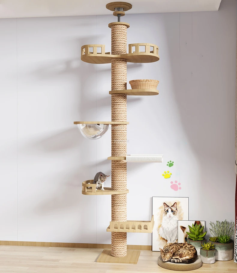 S6e07990ebf324633a9ef89e2d47de042Y