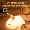 Cute LED Night Light Panda Sheep Rabbit Silicone Nightlights Timing USB Rechargeable For Bedroom Decoration Kids Birthday Gift 5