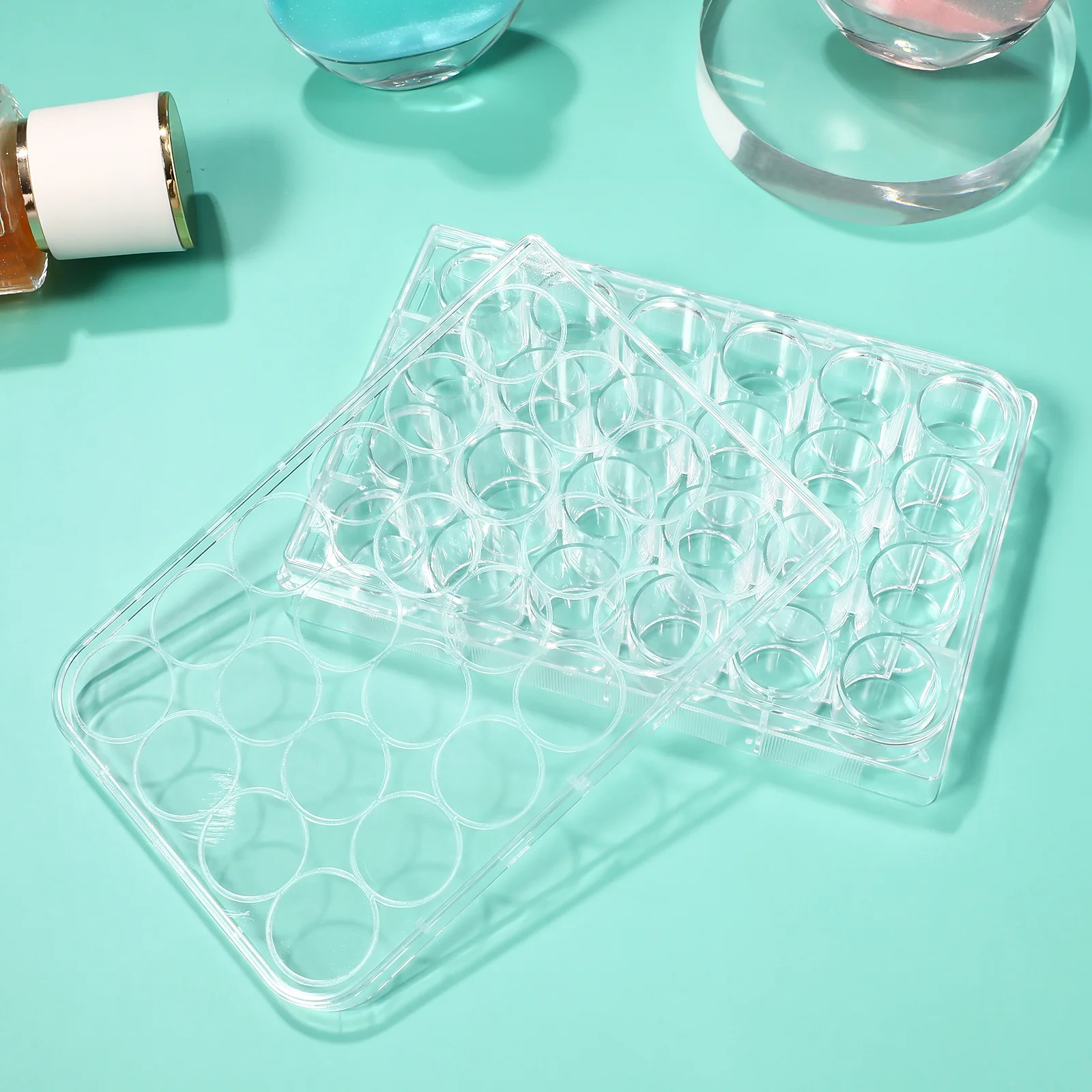 24/48 Holes Plastic Sterile Cell Culture Plate Bacterial Yeast Petri Dishes Laboratory Equipment, petri dishes