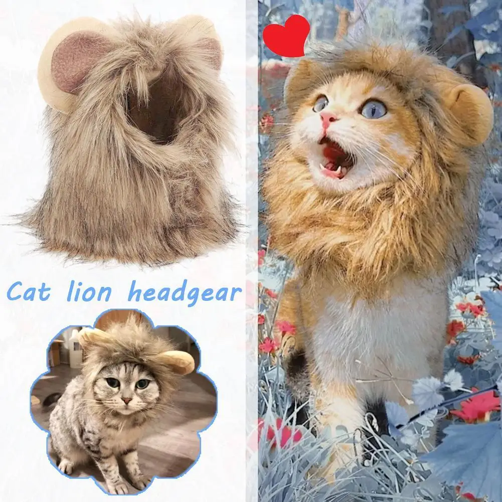 Cat In Lion Costume Meme Authorized Dealers www.meesenburg.kz