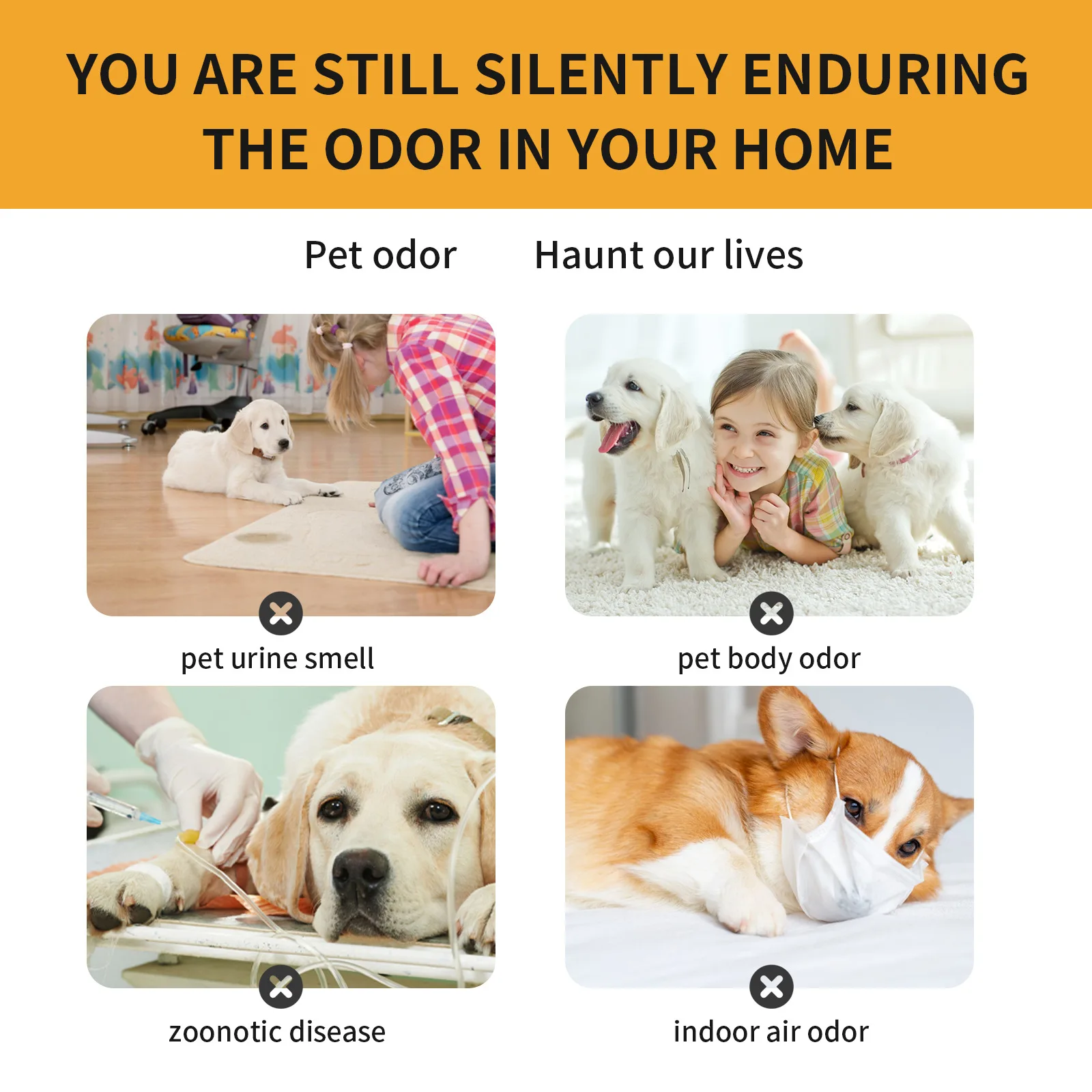 Yegbong Pet Deodorant Spray, Clean Pet Odor, Indoor Air Fresh and Long-lasting Fragrance Deodorant