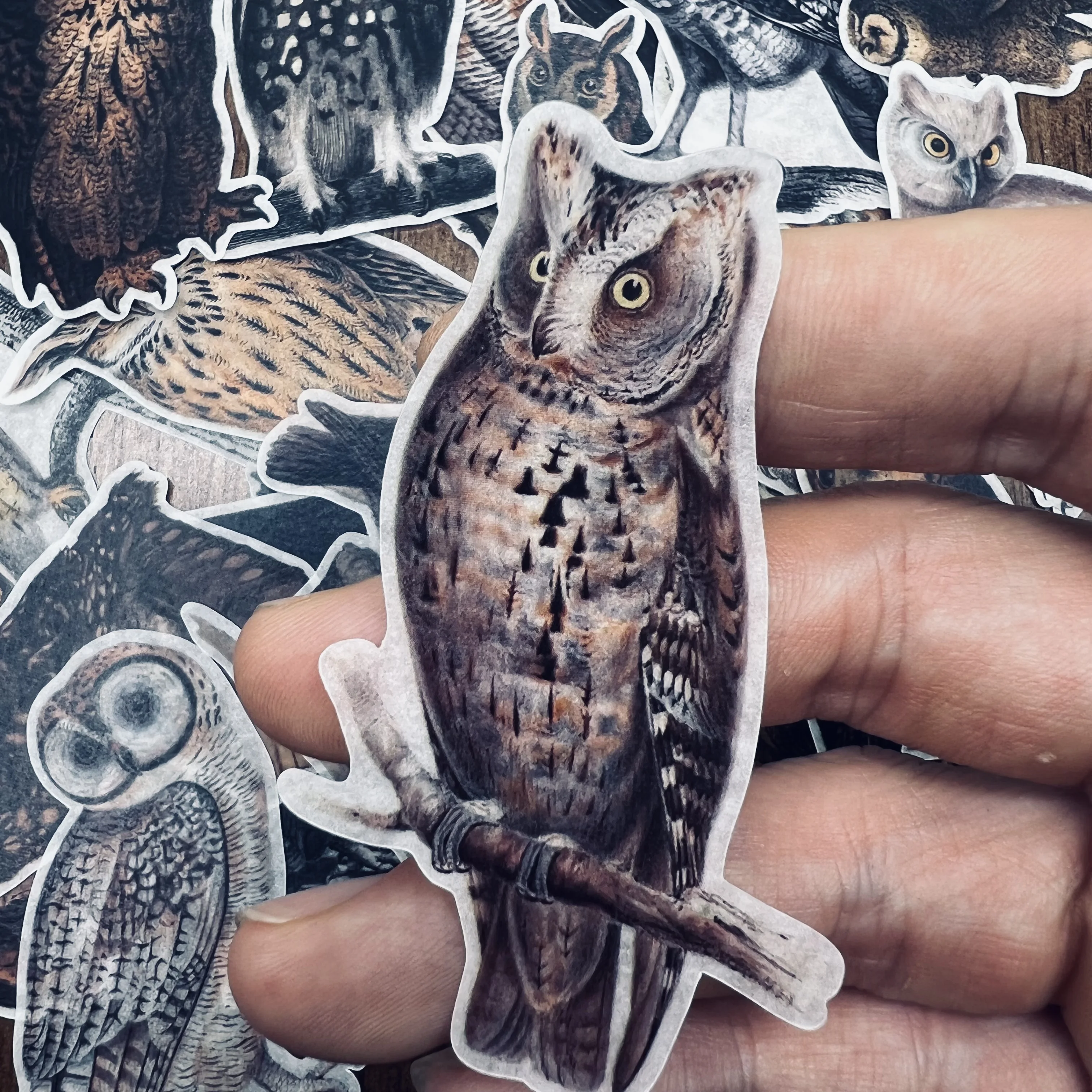 Decorative Stickers Junk Journal Retro Owl Stickers for DIY Scrapbooking