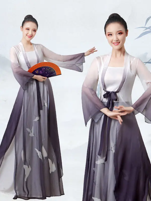 Chinese Style Classical Dance Costume Long Gradient Gauze Clothing Chinese Dance Practice Suit Double Layer Printed Wide Leg Set