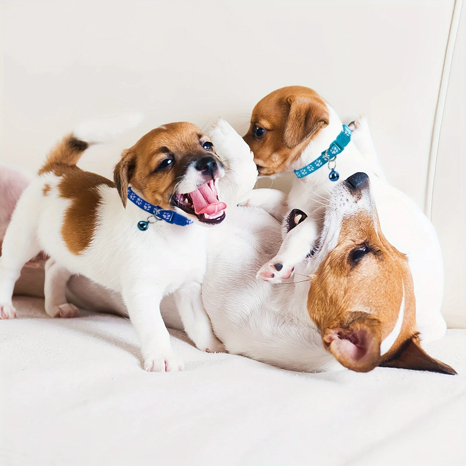 Soft Puppy Collars With Bells Adjustable Id Identification Set_voghion.com