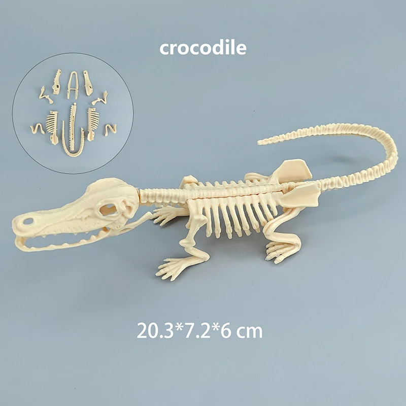thumbnail image 1 of juego de juguetes para niños, ensamblaje DIY, esqueleto fósil de dinosaurio jurásico, Mosasaurus, tiranosaurio, colección de figuras de acción, modelo creativo, 1 of 5