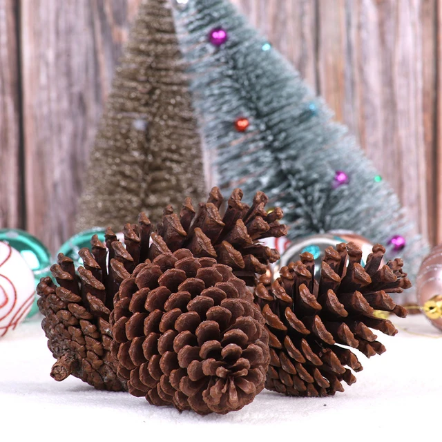 10Pcs PineCones Natural Pine Cones for Wedding Christmas Tree Wreath DIY  Scrapbooking Decor Fall Thanksgiving Xmas Ornament - AliExpress