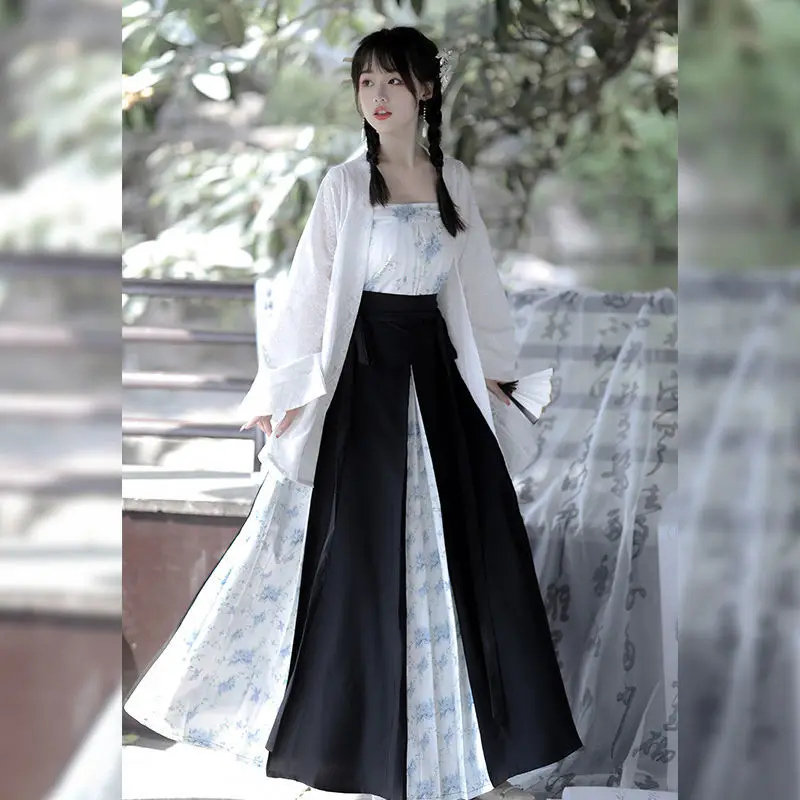 Women's Chinese Traditional Hanfu Beizi Printed Floral Suspenders Skirt ...