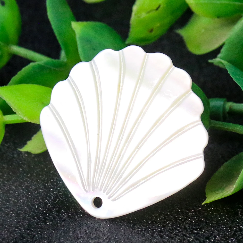 70 Breloques Coquillage Blanc Naturel 20mm – Perles Rondes Pour Bijoux, Carillons éoliens | Déco Plage été