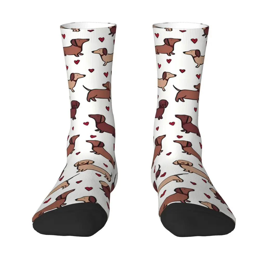 funny-dachshund-print-socks-for-men-women-autumn-stockings