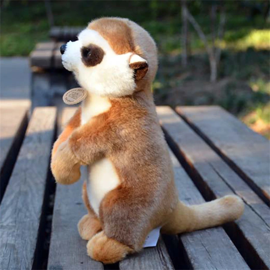 Meerkat High Fidelity Anime Cute Mongoose Plushie Suricate Plush Toys Lifelike Animals Simulation Stuffed Doll Kawai Toy Gifts 5