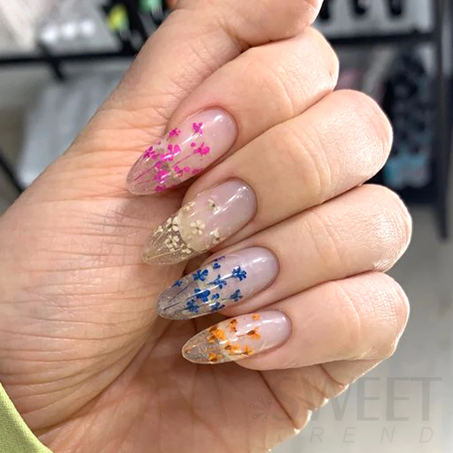 NUOLUX Flowers Pressed Dried Flower Sheet Nail Multiple Colorful