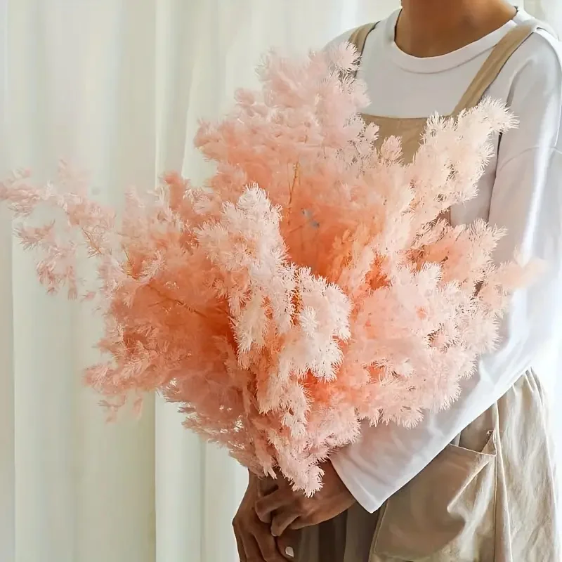 

100% Natural Everlasting Penglai Pine for Nordic Home Decoration Preserved Ming Fern Floral Flower Bouquet Plants Ornament