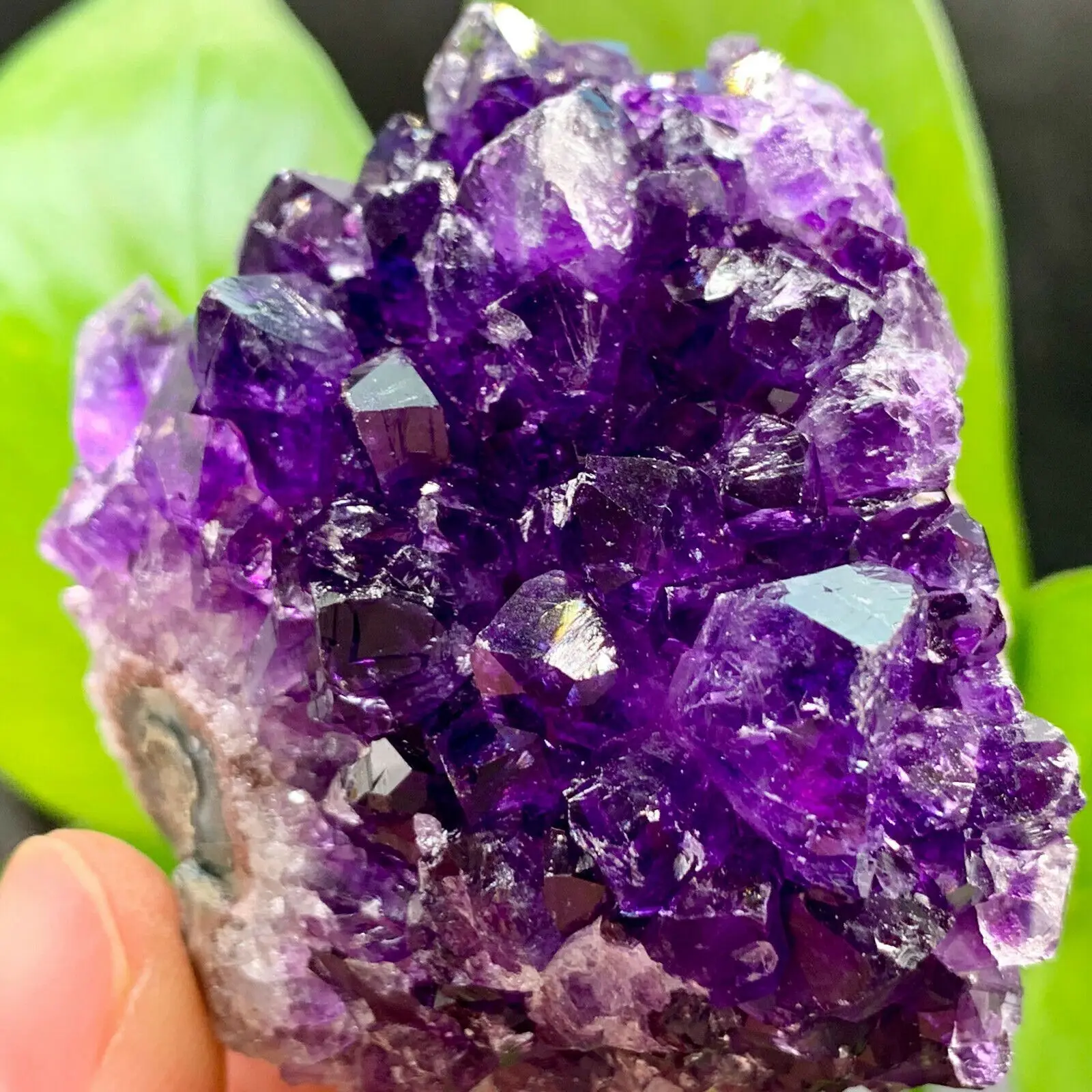 

100-160g Natural Dream Amethyst Quartz Crystal Cluster Specimen Healing