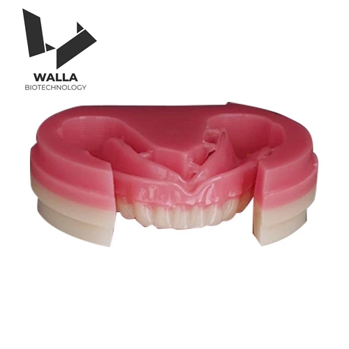 Full Denture Monolitico Fresatura Dentale Disco Pmma Biocompatibile Acrilico Ibrido Spazi Vuoti Per Laboratorio Odontotecnico Corona Per Protesi Tempo
