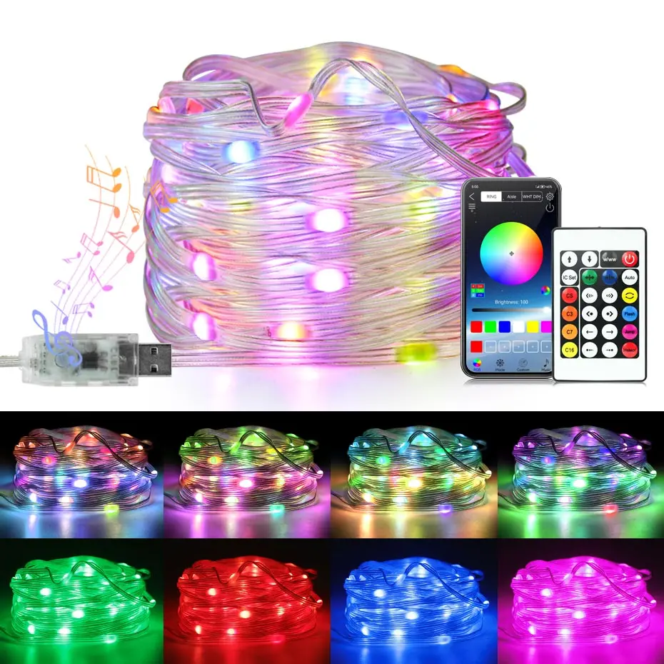 10M 5M USB DC 5V Smart Bluetooth RGBIC WS2812b Led Strip Light String