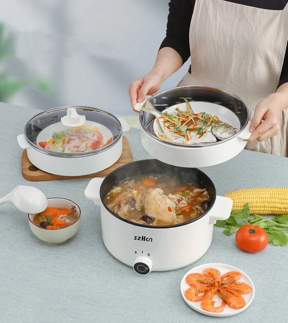 Stainless Steel Cooking Noodles  Small Electric Cooking Pot - 1.8l 220v  Mini - Aliexpress